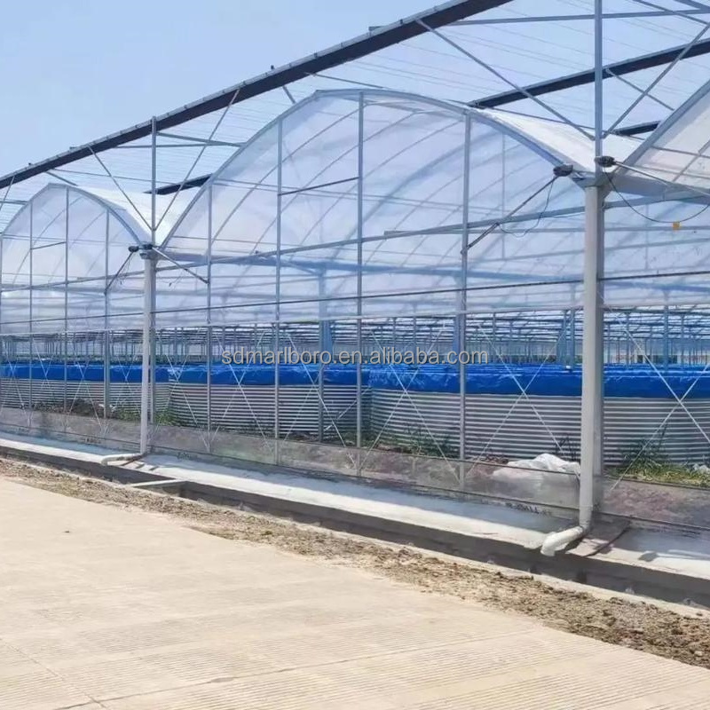 AIROW SDM Grande Rivestimento  - Farm Pond Liner recensione e prezzo