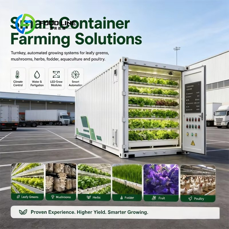 Fattoria Idroponica in Contain - Farming Agriculture Project recensione e prezzo