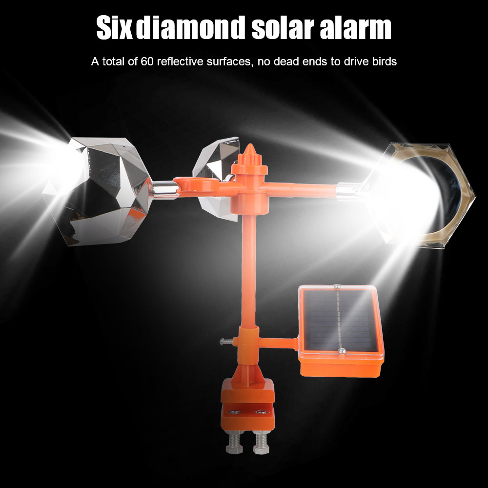 Dispositivo di guida repellent - Solar Bird Scarer recensione e prezzo