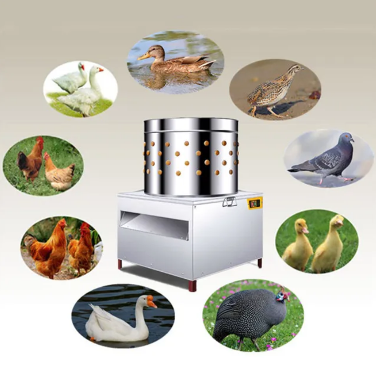 Spiumatrice Commerciale Automa - Chicken Plucker Machine recensione e prezzo