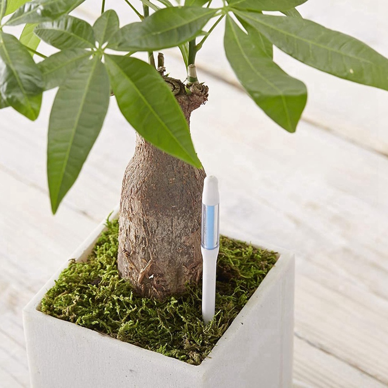 Aquameter, 5 pezzi, sensore di - Soil Moisture Sensor recensione e prezzo