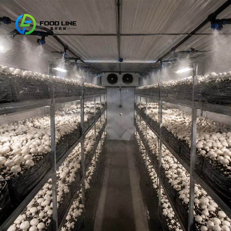 Sistema di Coltivazione Vertic - Farming Agriculture Project recensione e prezzo