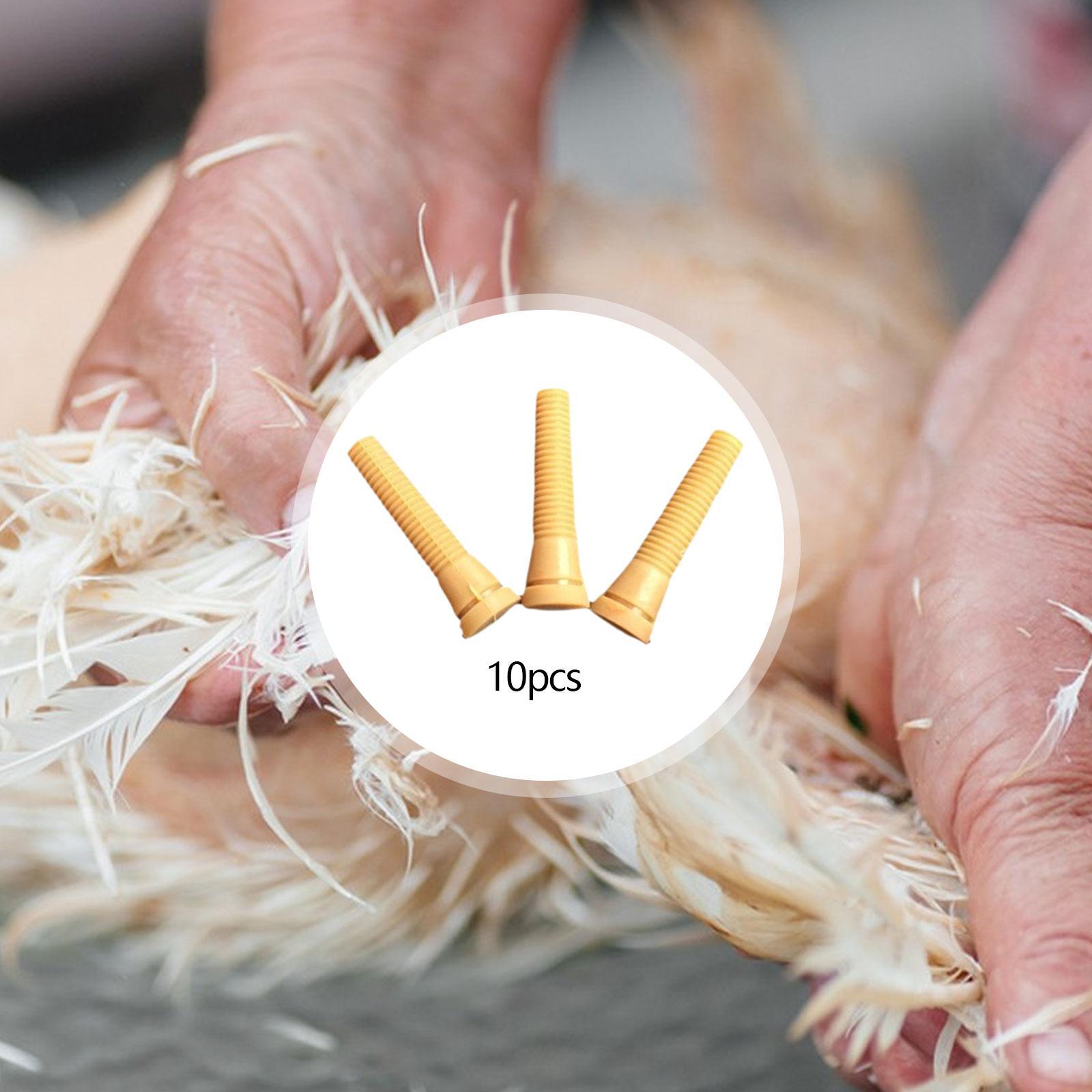 Parti di Ricambio per Spiumatr - Chicken Plucker Machine recensione e prezzo