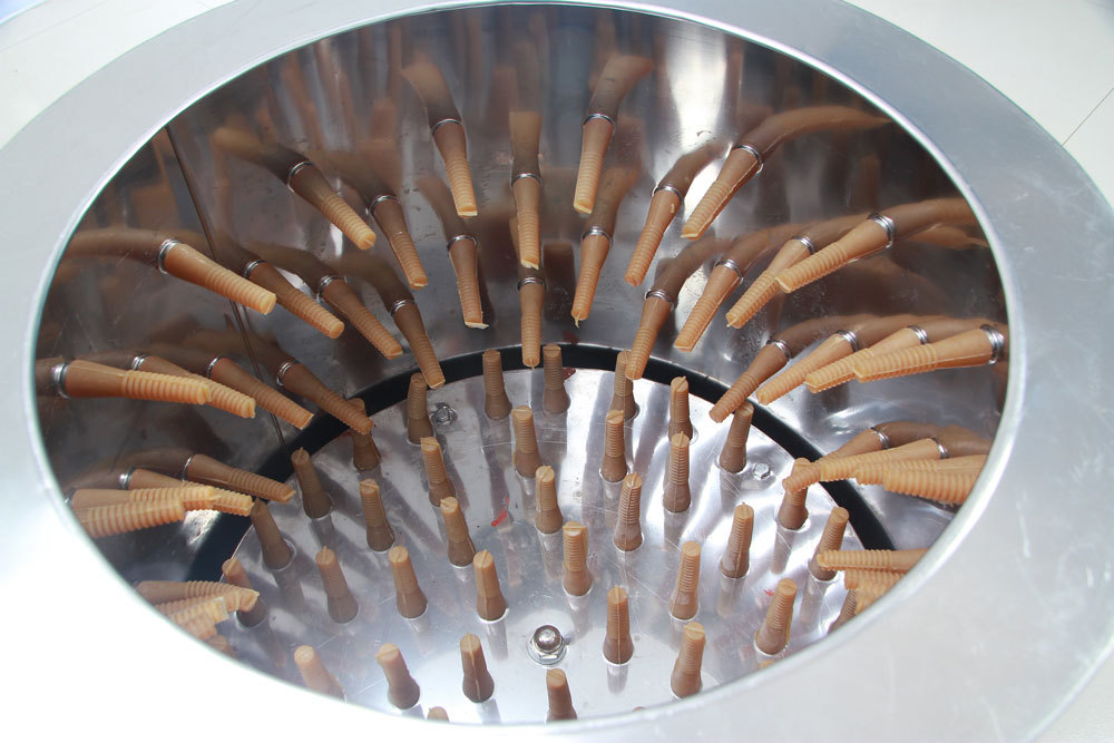 Attrezzatura Essenziale per la - Chicken Plucker Machine recensione e prezzo