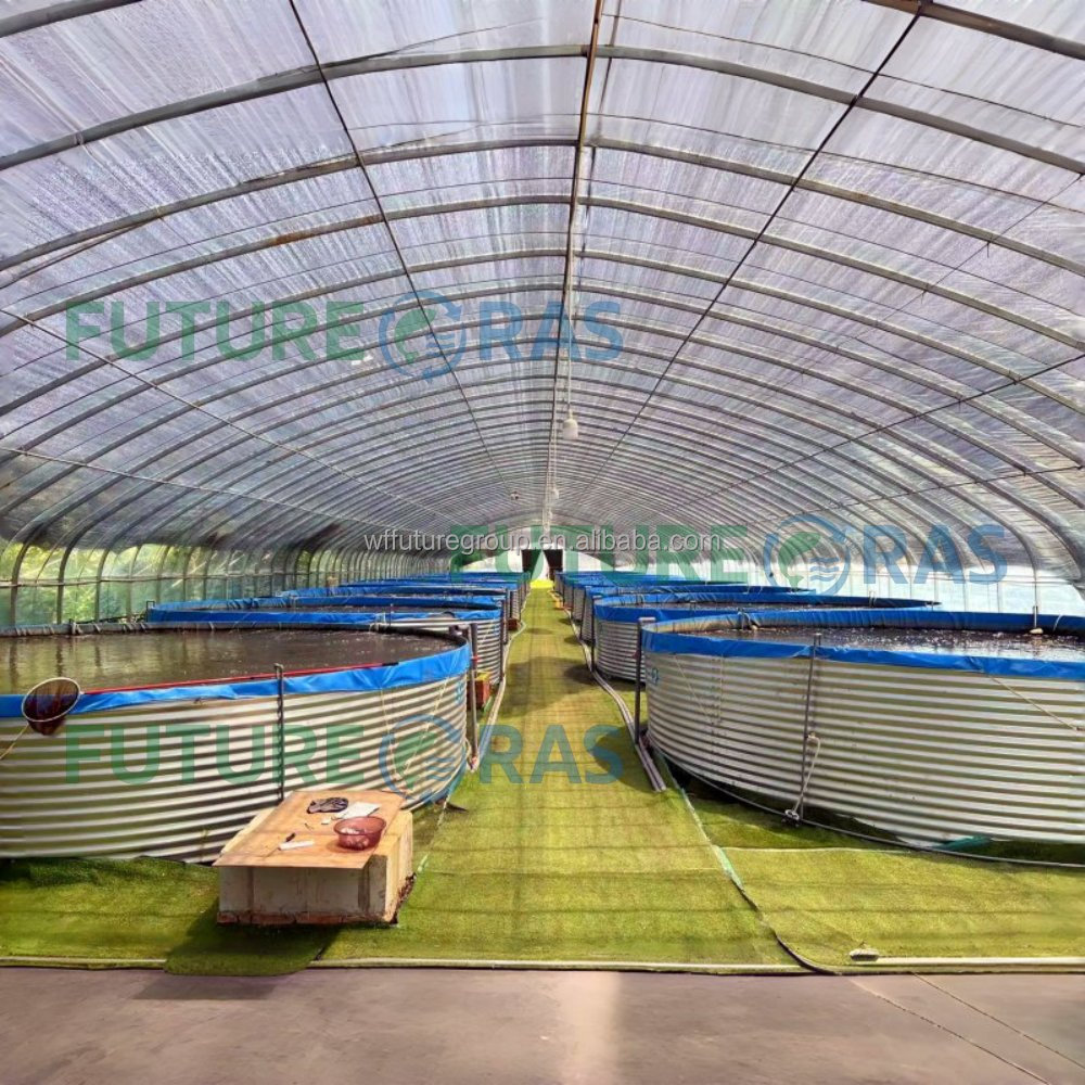AIROW FUTURERAS 5*1.2m Vasche  - Farm Pond Liner recensione e prezzo
