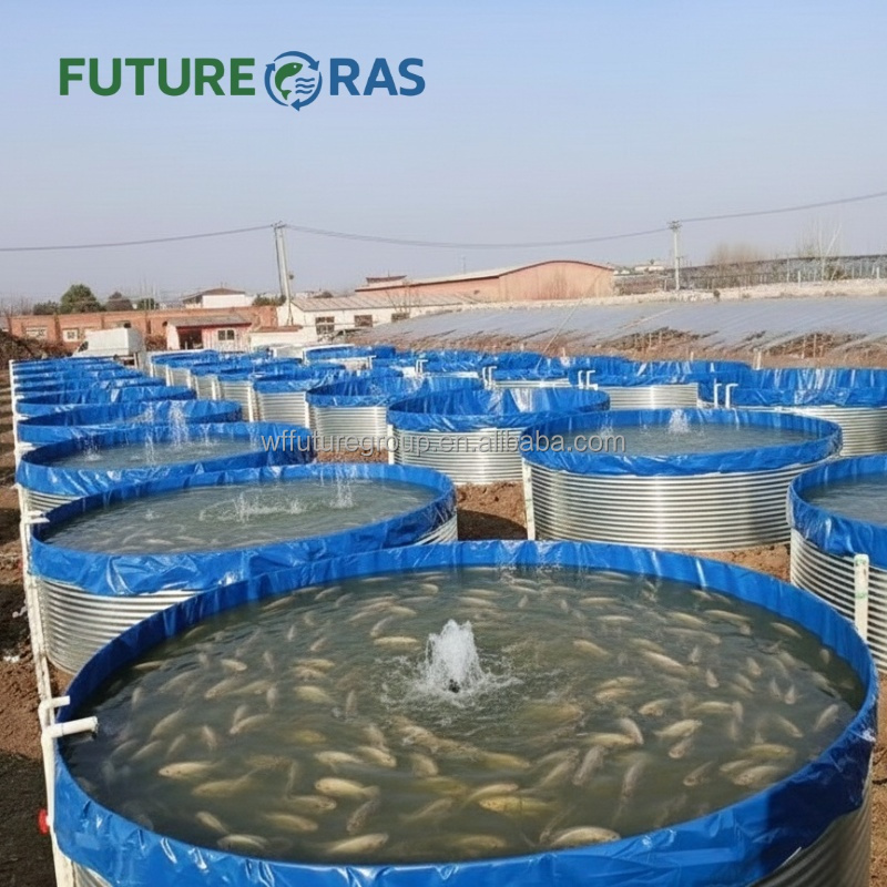 AIROW FUTURERAS 5*1.2m Vasche  - Farm Pond Liner recensione e prezzo