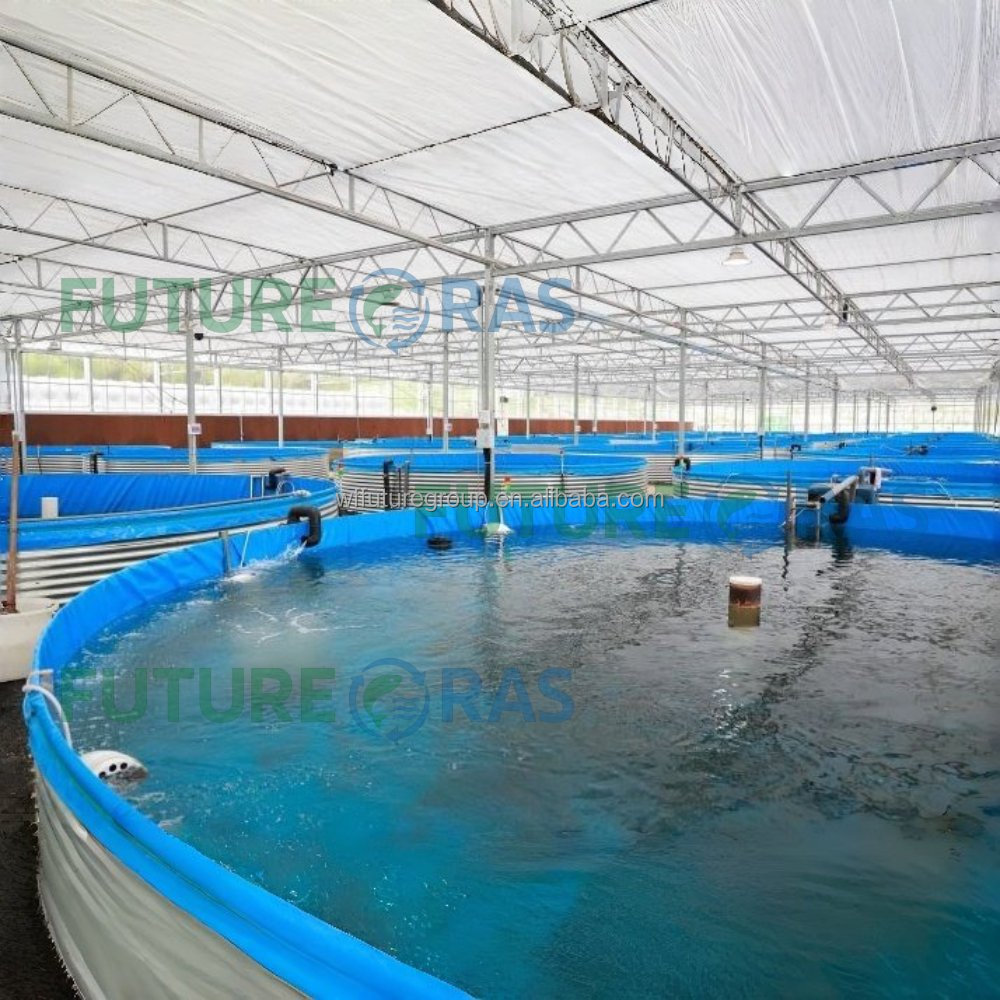 AIROW FUTURERAS 5*1.2m Vasche  - Farm Pond Liner recensione e prezzo