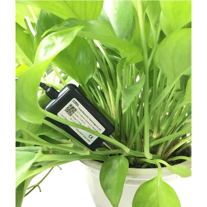 CDT-30B Rs485 0-2v Uscita Impi - Soil Moisture Sensor recensione e prezzo