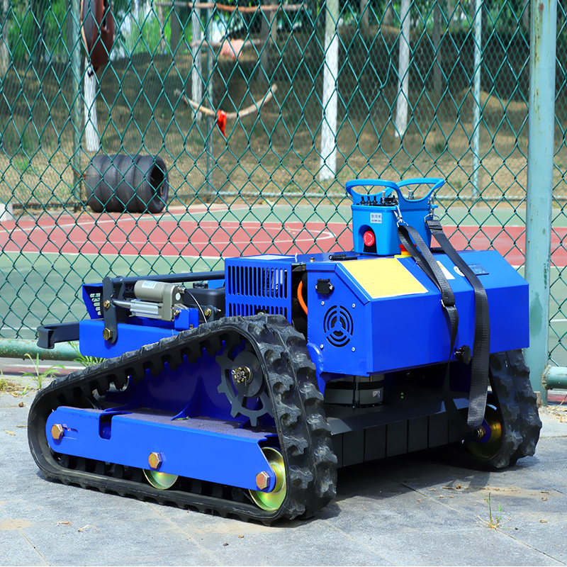 Tagliaerba Personalizzato di A - Agriculture Farming Requirements recensione e prezzo