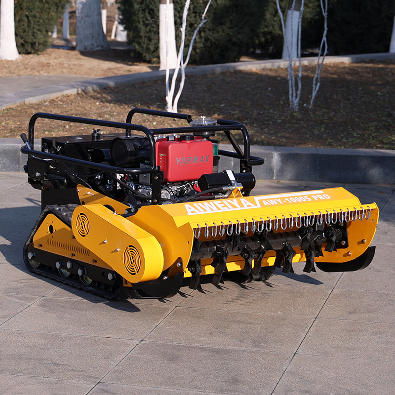 Tosaerba domestico personalizz - Agriculture Farming Requirements recensione e prezzo
